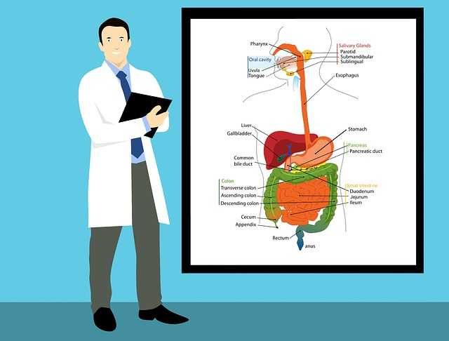 Anal Fissures: Causes, Symptoms, Treatment and Prevention