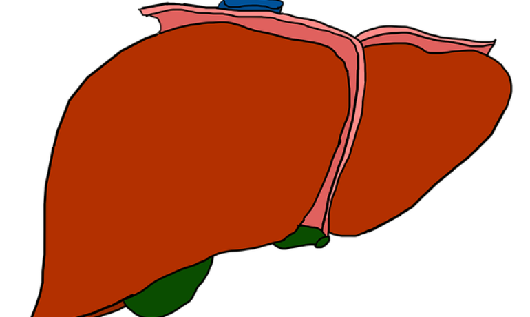 Gall Bladder Cancer: Causes, Symptoms, Treatment and Survival rates