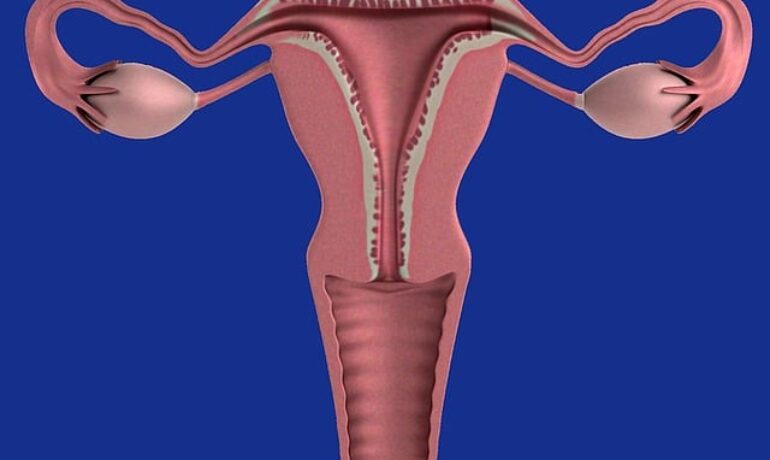Cervical Cancer: Causes, Symptoms, Treatment and Survival Rate